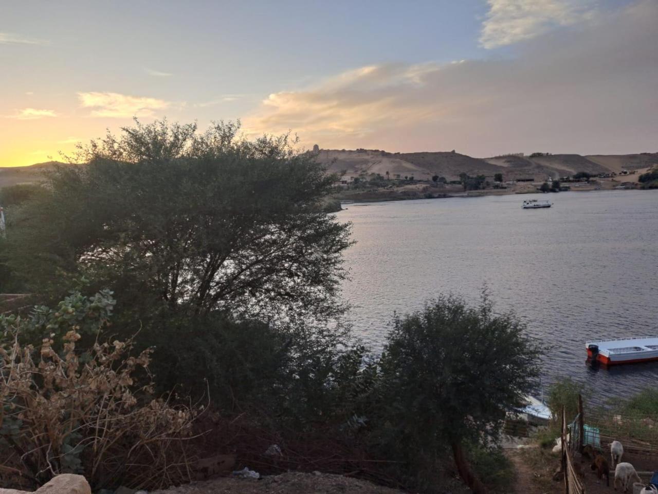 Queen House Aswan Ngoại thất bức ảnh